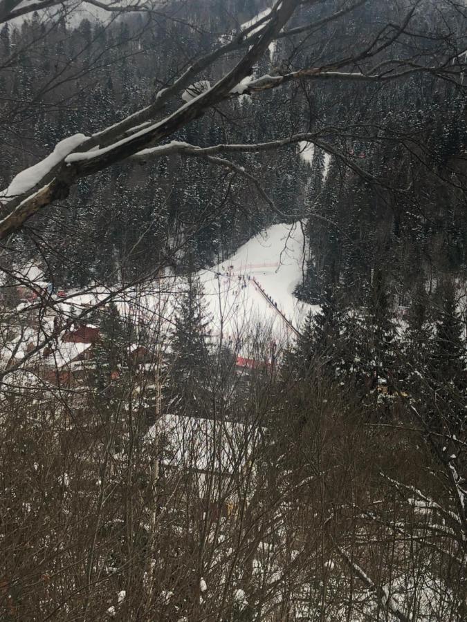Garsoniera La Munte Lejlighed Azuga Eksteriør billede